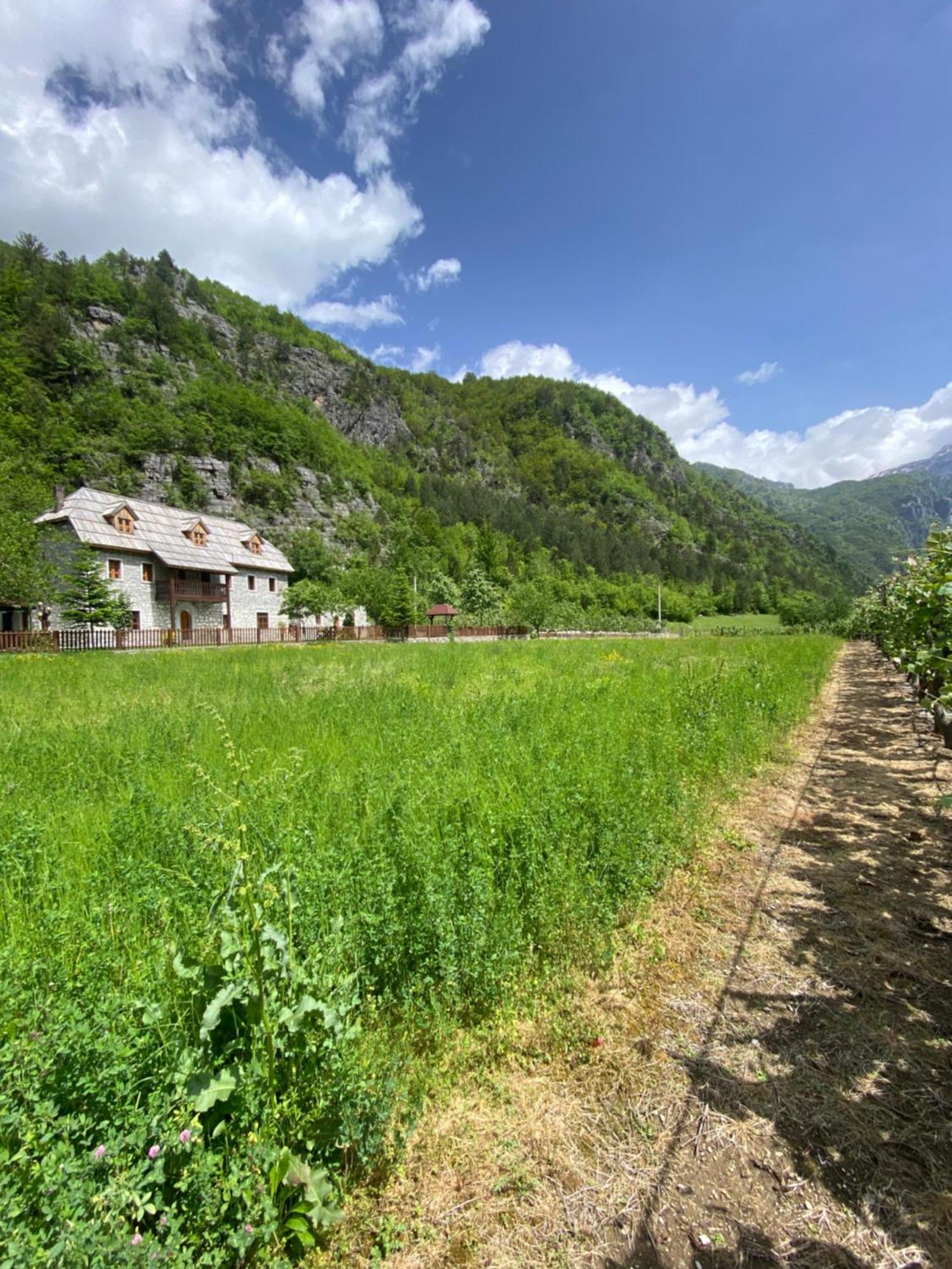 Kompleksi Zorgji Hotel Theth Buitenkant foto